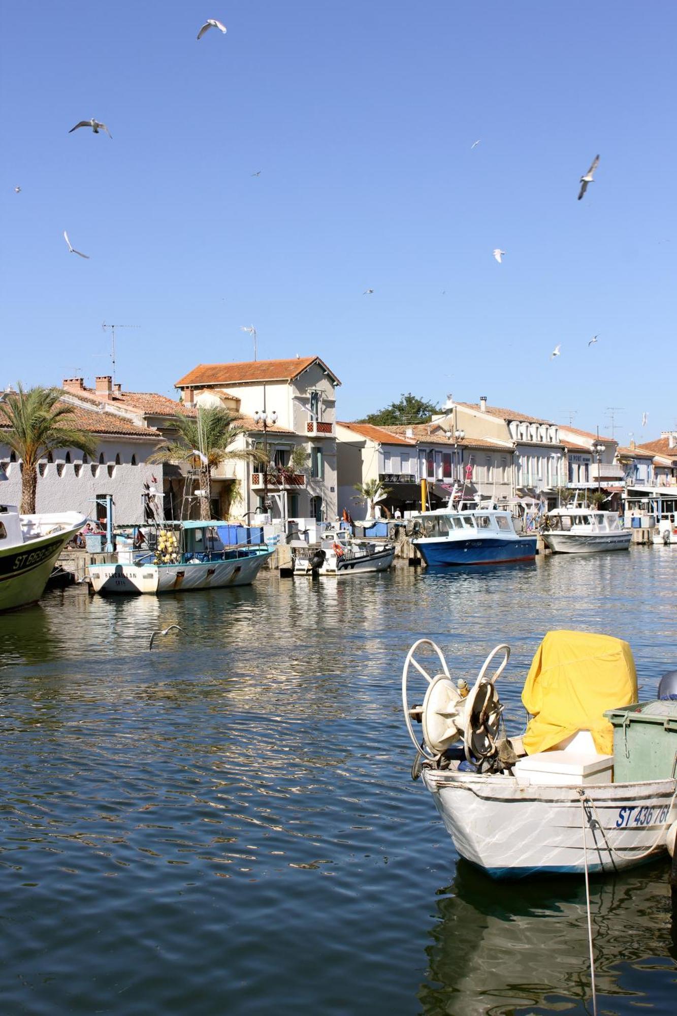 Hotel Restaurant Splendid Camargue Le Grau-du-Roi Ngoại thất bức ảnh
